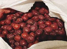 خرید اینترنتی عناب خشک اصل بیرجند + صادرات به امارات